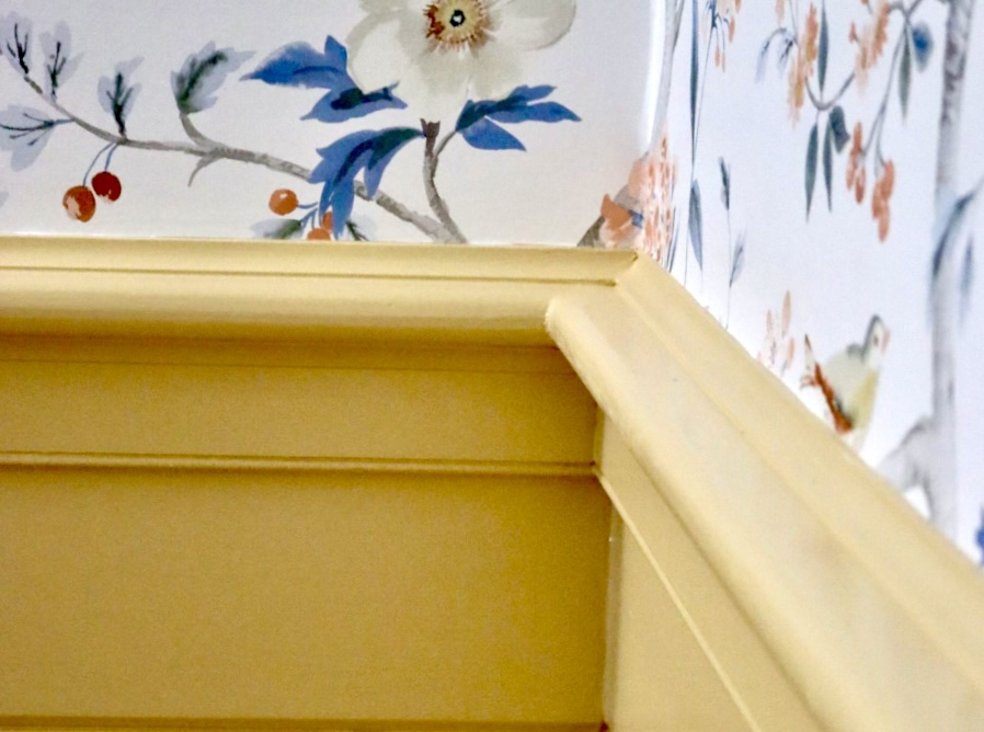 Large gymnasisum - interioir painting services 3