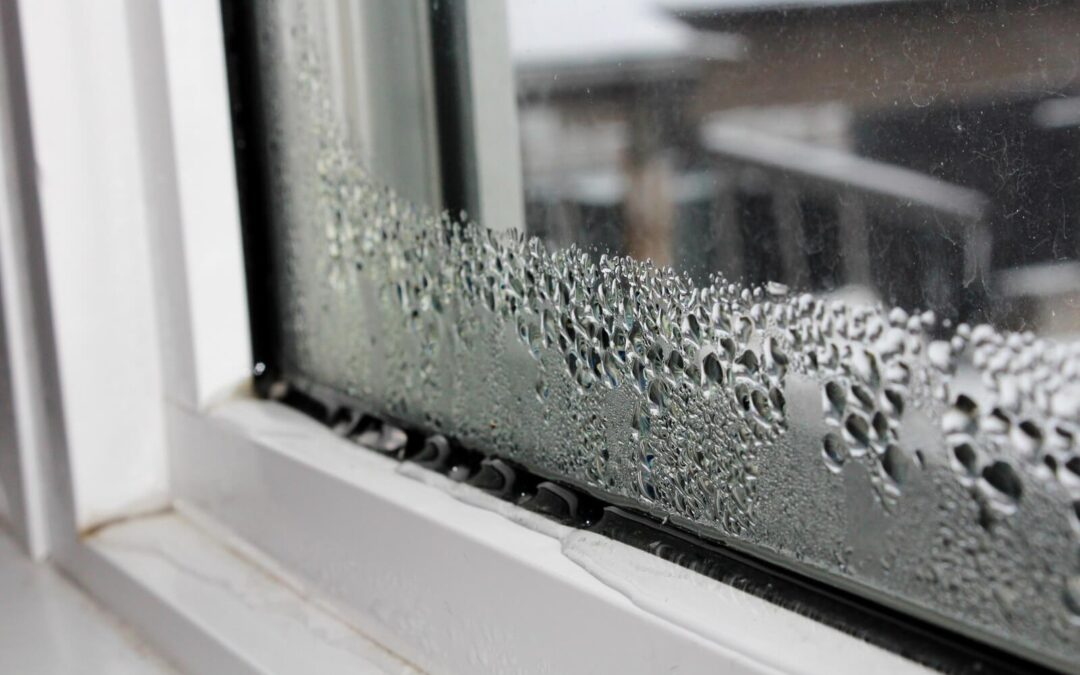 Summer Moisture: The Silent Threat to Your Home’s Exterior