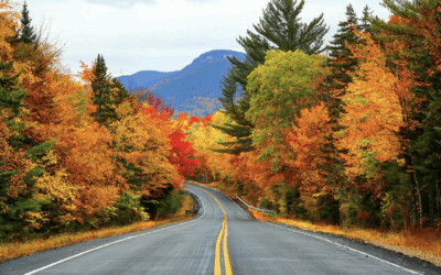 Fall Color Selections: How to Choose the Perfect Palette for Your Home